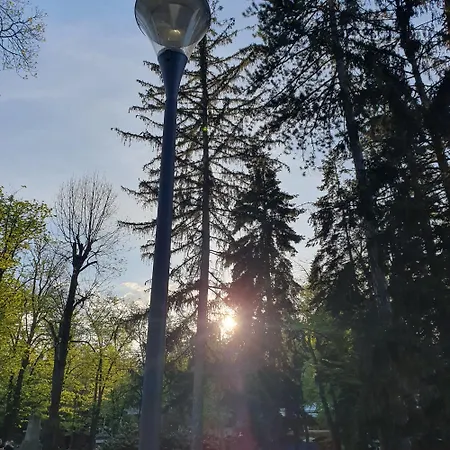 Zlatna Iskra Apartment *